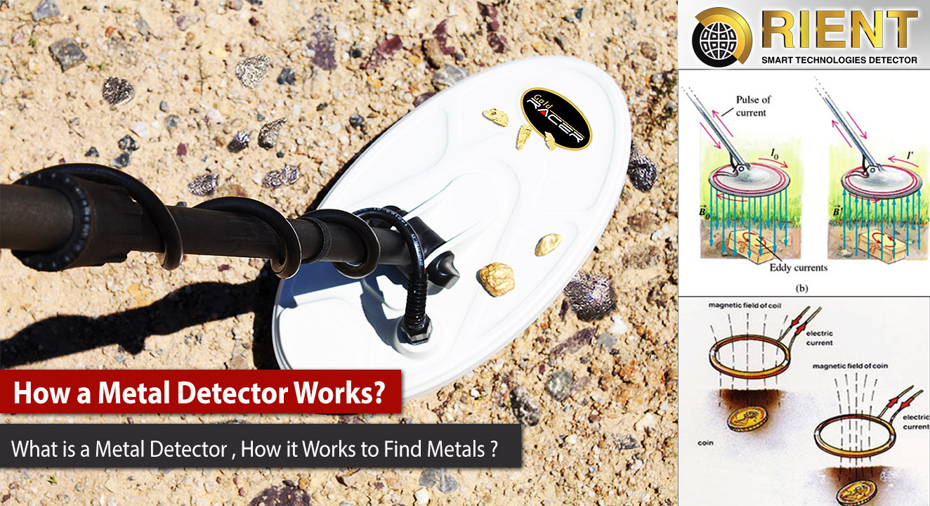 How a Metal Detector Works? Best Gold & Metal Detectors